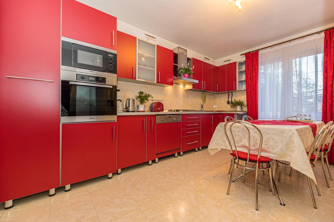 Casa David Villa Săcele Exteriör bild